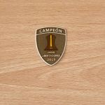 Parche de Campeón Copa Libertadores 2019